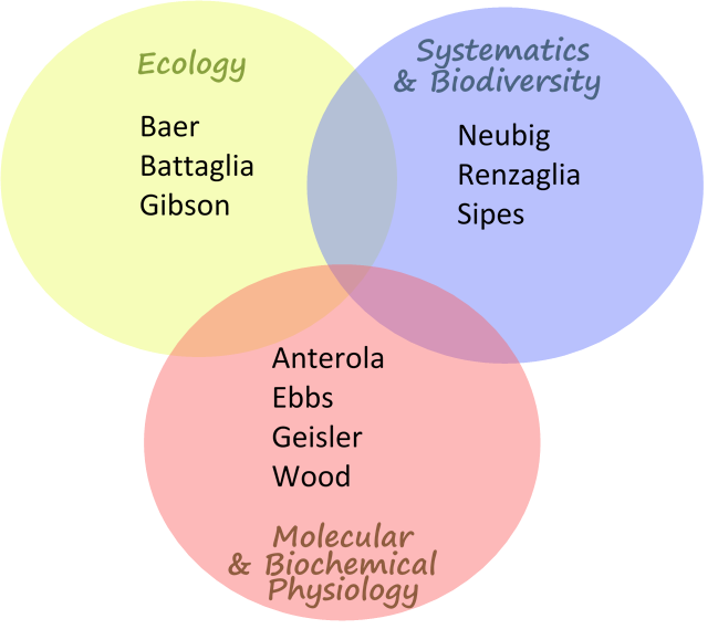 Nodes Venn diagram 