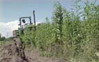plowing