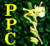 Parasitic Plant Connection Icon
