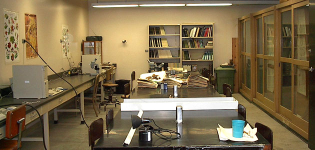 SIUC Herbarium